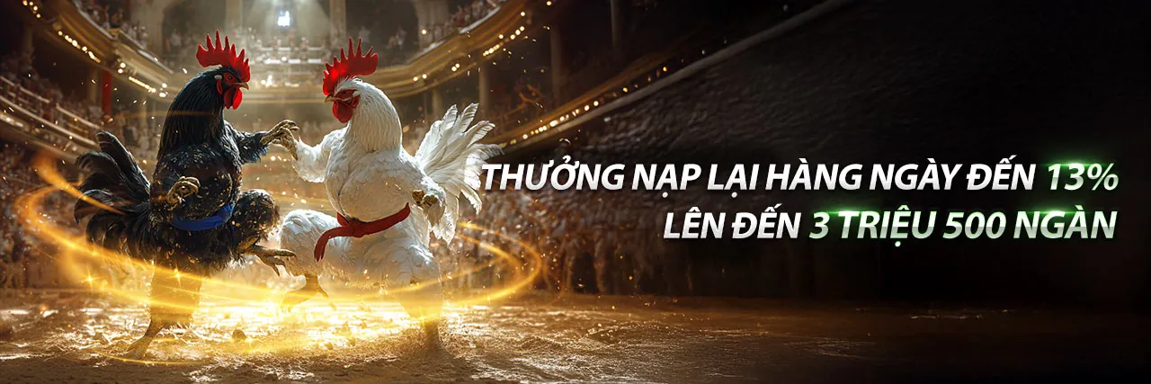 Hình ảnh giới thiệu về 08win casino