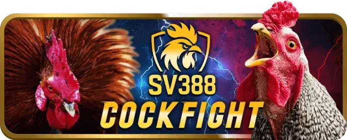 Hỗ trợ khách hàng 08win casino