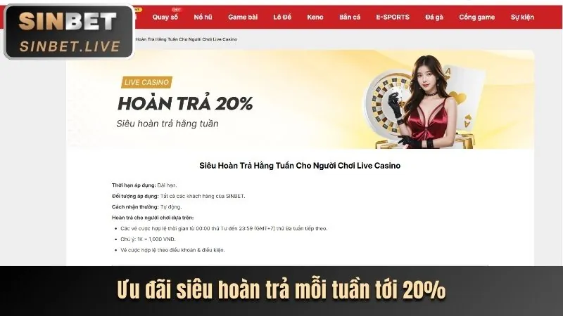 Hoàn trả hàng ngày 08win casino
